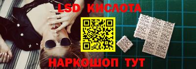 шишки Кандалакша