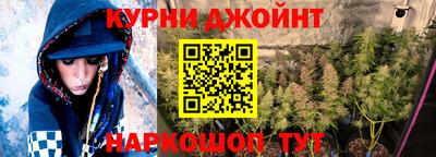 шишки Кандалакша