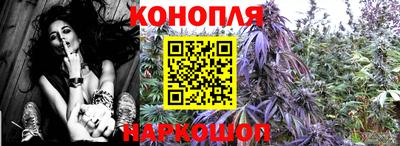 шишки Кандалакша