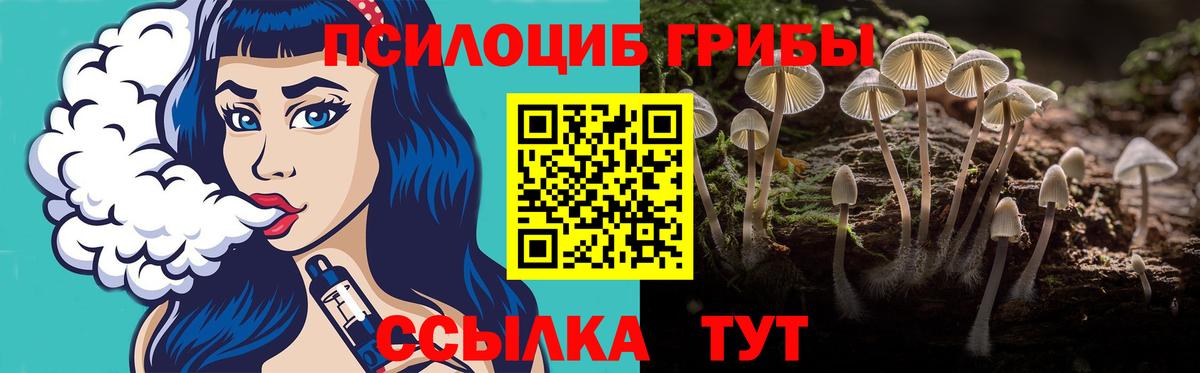 Галлюциногенные грибы Cubensis Кудрово
