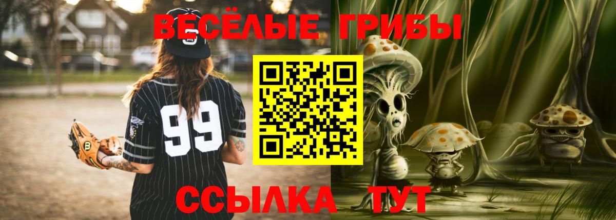 Кудрово  Галлюциногенные грибы Psilocybe  Вход с VPN 